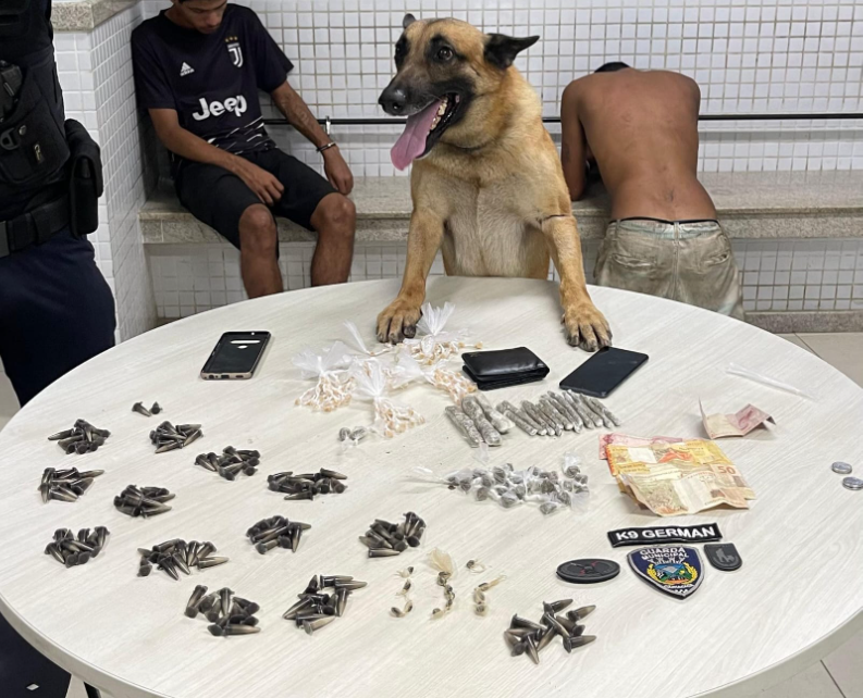 Cão da Guarda Municipal auxilia na apreensão de pedras de crack e outras drogas